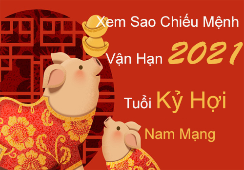 Xem sao chiếu mệnh vận hạn năm 2021 cho tuổi Kỷ Hợi 1959 nam mạng