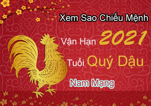 Xem sao chiếu mệnh vận hạn năm 2021 cho tuổi Quý Dậu 1993 nam mạng