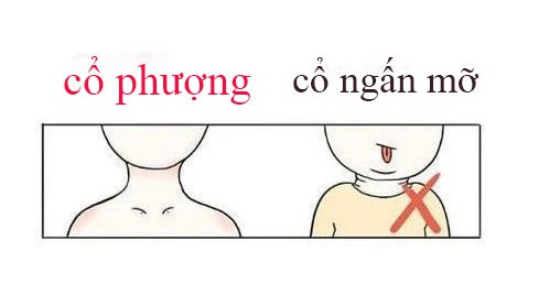 phu nu 3 vi tri nay tren co the beo mot chut se rat vuong tai