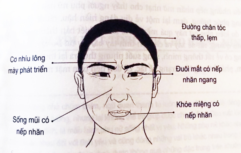 tướng mạo, trăng hoa, đàn ông, 